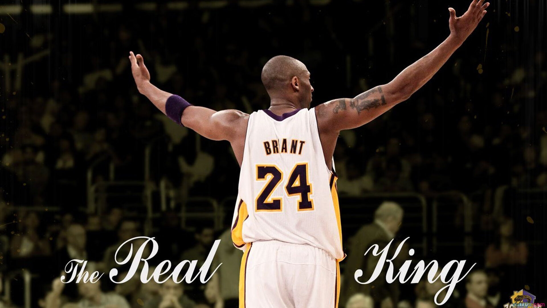 西决生死战焦点战,魔术淘汰赛过关热火,青春风暴席卷联盟